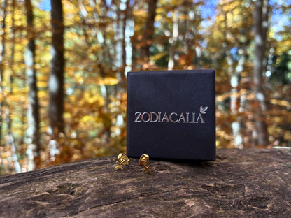 Zodiacalia™ Обеци Sagitarrius – Стрелец